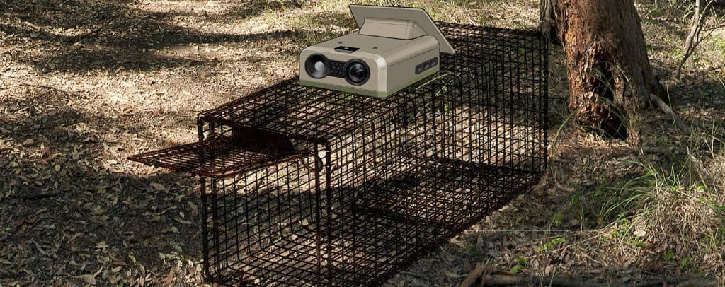 Cage concept