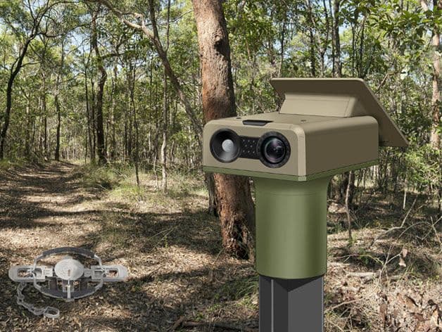 Concept of unity in bushland