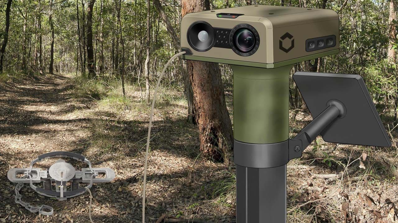 Concept of unity in bushland, with solar panel and cable